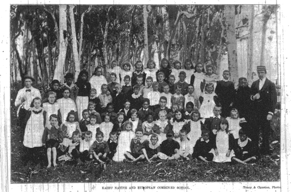 Kaihu School - Journal 13